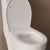 Сиденье для унитаза Iddis Optima Home 008PPSEi31