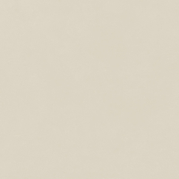 Керамогранит Italon Forum Slim Pure Ret 80x80, 610010004137 Керамогранит Italon Forum Slim Pure Ret 80x80, 610010004137