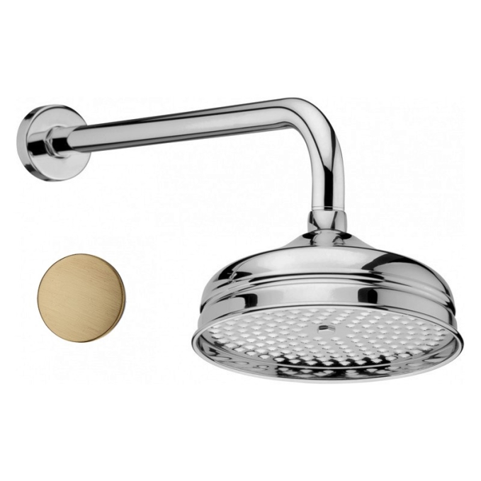 Верхний душ Webert AC0015065 бронза матовый с кронштейном Верхний душ Webert AC0015065 бронза матовый с кронштейном