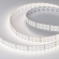 Светодиодная лента RT 2-5000 24V Day4000 2x2 (2835, 980 LED, LUX), Arlight, 019090, изображение 2 Светодиодная лента RT 2-5000 24V Day4000 2x2 (2835, 980 LED, LUX), Arlight, 019090, изображение 2