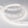 Светодиодная лента RT 2-5000 24V Day4000 2x2 (2835, 980 LED, LUX), Arlight, 019090, изображение 4 Светодиодная лента RT 2-5000 24V Day4000 2x2 (2835, 980 LED, LUX), Arlight, 019090, изображение 4