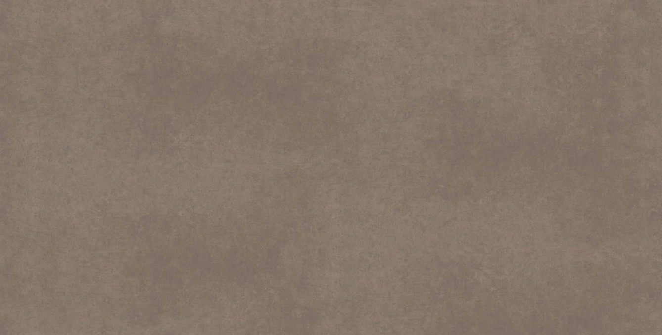 Керамогранит Estima Profi Cave CA04 60x120x10 непол. рект. Керамогранит Estima Profi Cave CA04 60x120x10 непол. рект.