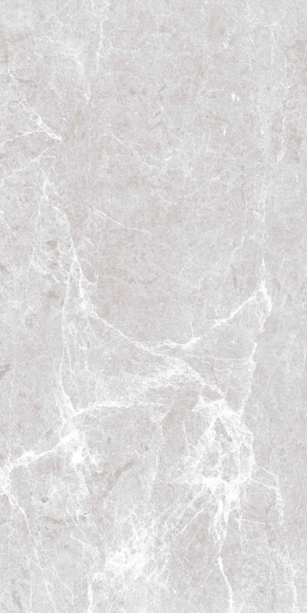 Керамогранит Artcer Eco Spider Grey Poli 60x120 Керамогранит Artcer Eco Spider Grey Poli 60x120