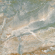 Керамогранит A-Ceramica Marlik Polished 60x60, 16622m Керамогранит A-Ceramica Marlik Polished 60x60, 16622m