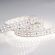 Светодиодная лента RT 2-5000 24V Day4000 2x2 (3528, 1200 LED, LUX), Arlight, 013474, изображение 2 Светодиодная лента RT 2-5000 24V Day4000 2x2 (3528, 1200 LED, LUX), Arlight, 013474, изображение 2