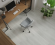 Каменный ламинат SPC Alpine Floor Grand Sequoia 5 mm Дейнтри, ECO 11-1208 MC Каменный ламинат SPC Alpine Floor Grand Sequoia 5 mm Дейнтри, ECO 11-1208 MC