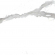 Керамогранит Pieza Ceramica Calacatta Grey 60x60, CA016060N Керамогранит Pieza Ceramica Calacatta Grey 60x60, CA016060N