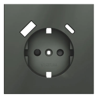Накладка для розетки с заземлением и защитными шторками, с USB A+C, S70 (титан), Voltum, VLS001006 Накладка для розетки с заземлением и защитными шторками, с USB A+C, S70 (титан), Voltum, VLS001006
