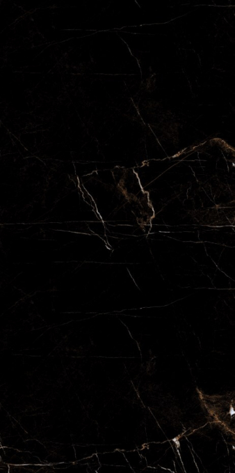 Керамогранит Artcer Eco Tropic Black Poli 60x120 Керамогранит Artcer Eco Tropic Black Poli 60x120