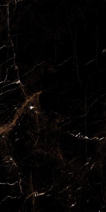 Керамогранит Artcer Eco Tropic Black Poli 60x120 Керамогранит Artcer Eco Tropic Black Poli 60x120