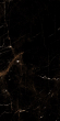 Керамогранит Artcer Eco Tropic Black Poli 60x120 Керамогранит Artcer Eco Tropic Black Poli 60x120