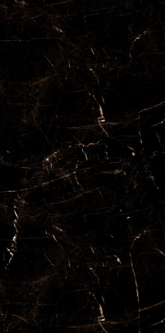 Керамогранит Artcer Eco Tropic Black Poli 60x120 Керамогранит Artcer Eco Tropic Black Poli 60x120