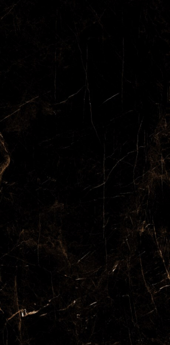 Керамогранит Artcer Eco Tropic Black Poli 60x120 Керамогранит Artcer Eco Tropic Black Poli 60x120
