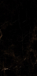 Керамогранит Artcer Eco Tropic Black Poli 60x120 Керамогранит Artcer Eco Tropic Black Poli 60x120