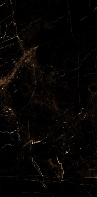 Керамогранит Artcer Eco Tropic Black Poli 60x120 Керамогранит Artcer Eco Tropic Black Poli 60x120