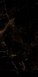 Керамогранит Artcer Eco Tropic Black Poli 60x120 Керамогранит Artcer Eco Tropic Black Poli 60x120