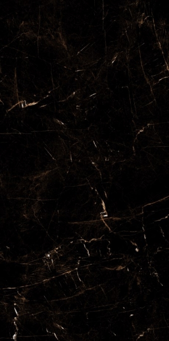 Керамогранит Artcer Eco Tropic Black Poli 60x120 Керамогранит Artcer Eco Tropic Black Poli 60x120