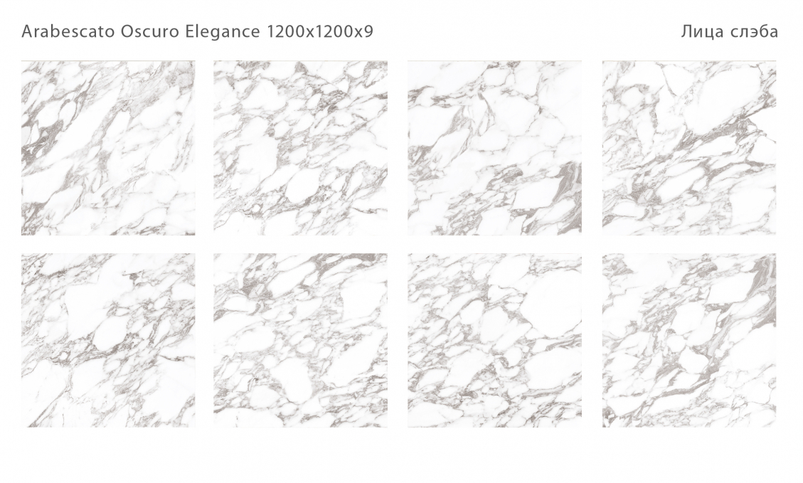 Керамический слэб StaroSlabs Polished Arabescato Oscuro Elegance 120x120 Керамический слэб StaroSlabs Polished Arabescato Oscuro Elegance 120x120