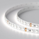 Светодиодная лента RT 2-5000 24V White6000 2x (3528, 600 LED, LUX), Arlight, 010347(B), изображение 2 Светодиодная лента RT 2-5000 24V White6000 2x (3528, 600 LED, LUX), Arlight, 010347(B), изображение 2