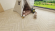 Ламинат Alpine Floor Herringbone 12 Дуб Лацио, LF105-03