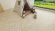 Ламинат Alpine Floor Herringbone 12 Дуб Лацио, LF105-03