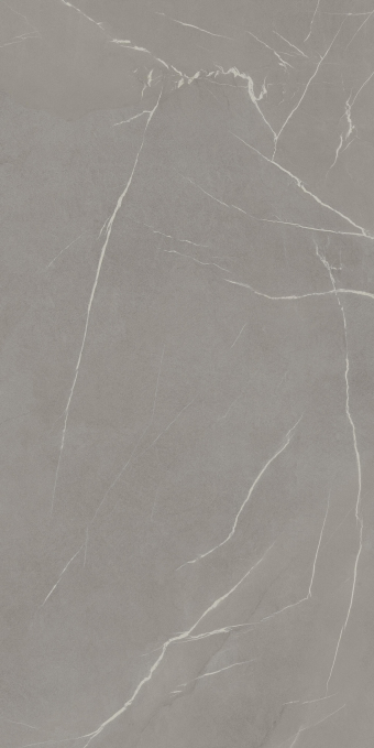 Керамогранит Laminam In-Side Pietra Piasentina Grigio 20+ 162x324, LAMF009354 Керамогранит Laminam In-Side Pietra Piasentina Grigio 20+ 162x324, LAMF009354