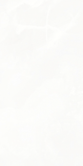 Керамогранит Artcer Onix White Poli 60x120