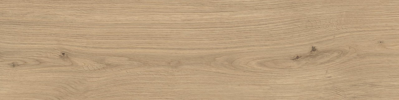 Керамогранит Atlas Concorde Log Moon Oak Forest 30x120, AX4E Керамогранит Atlas Concorde Log Moon Oak Forest 30x120, AX4E