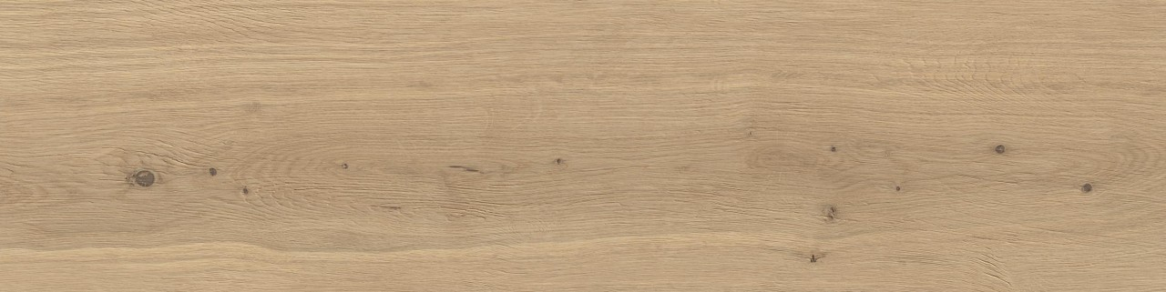 Керамогранит Atlas Concorde Log Moon Oak Forest 30x120, AX4E Керамогранит Atlas Concorde Log Moon Oak Forest 30x120, AX4E
