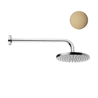 Верхний душ Webert AC0013065METAL бронза глянцевый