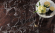Керамогранит Atlas Concorde Marvel Edge Royal Calacatta 75x150, A7FZ Керамогранит Atlas Concorde Marvel Edge Royal Calacatta 75x150, A7FZ