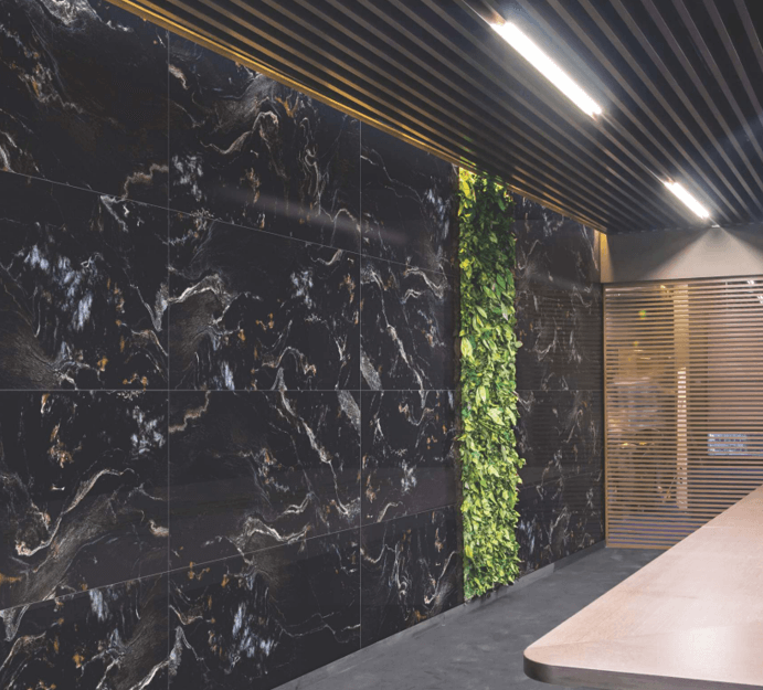 Керамогранит Artcer Eco Wren Black Poli 60x120 Керамогранит Artcer Eco Wren Black Poli 60x120