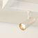 Светильник CLIP-38-SPOT-R146-6W Warm3000 (WH, 24 deg, 24V), Arlight, 028939, изображение 4 Светильник CLIP-38-SPOT-R146-6W Warm3000 (WH, 24 deg, 24V), Arlight, 028939, изображение 4