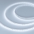 Светодиодная лента RT-A120-5mm 24V White6000 (9.6 W/m, IP20, 2835, 5m), Arlight, 015651(2)