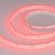 Светодиодная лента RT-A120-8mm 24V Red (9.6 W/m, IP20, 2835, 5m), Arlight, 008781(2), изображение 1