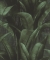 Обои Rasch Back to Nature, 416237
