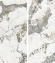 Керамогранит StaroSlabs Polished Patagonia High Glossy 120x278 Керамогранит StaroSlabs Polished Patagonia High Glossy 120x278