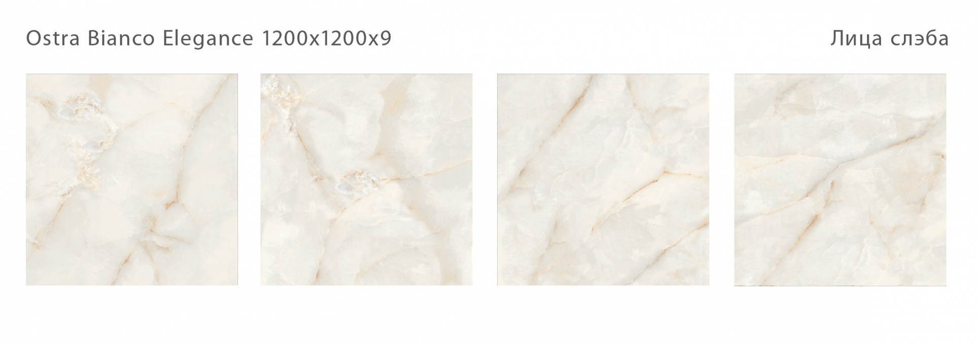 Керамический слэб StaroSlabs Polished Ostra Bianco Elegance 120x120 Керамический слэб StaroSlabs Polished Ostra Bianco Elegance 120x120