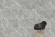 Керамогранит Vitra SilkMarble Бреча Серый Матовый R9 60x120, K947780R Керамогранит Vitra SilkMarble Бреча Серый Матовый R9 60x120, K947780R