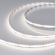 Светодиодная лента COB-X544-8mm 24V Day4000 (11.5 W/m, IP20, 5m), Arlight, 031901(3), изображение 1 Светодиодная лента COB-X544-8mm 24V Day4000 (11.5 W/m, IP20, 5m), Arlight, 031901(3), изображение 1