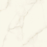 Керамогранит Atlas Concorde Marvel X Calacatta Apuano Lappato 120x120, AFU7 Керамогранит Atlas Concorde Marvel X Calacatta Apuano Lappato 120x120, AFU7