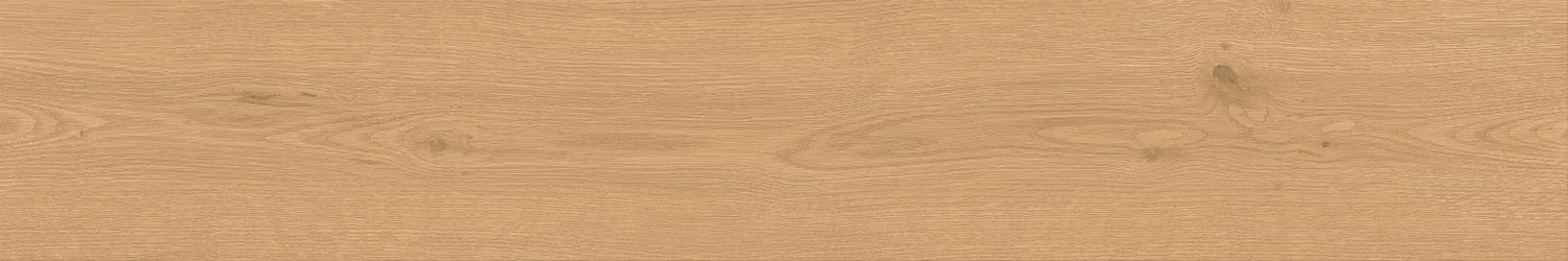 Керамогранит Atlas Concorde Entice Pale Oak Natural 20x120, A841