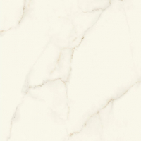 Керамогранит Atlas Concorde Marvel X Calacatta Apuano Silk 120x120, AFVJ