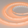 Светодиодная лента RT-A120-8mm 24V Orange (9.6 W/m, IP20, 2835, 5m), Arlight, 015896(2), изображение 1 Светодиодная лента RT-A120-8mm 24V Orange (9.6 W/m, IP20, 2835, 5m), Arlight, 015896(2), изображение 1