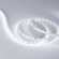 Светодиодная лента MICROLED-5000HP 24V White6000 8mm (2216, 120 LED/m, LUX), Arlight, 024424, изображение 4 Светодиодная лента MICROLED-5000HP 24V White6000 8mm (2216, 120 LED/m, LUX), Arlight, 024424, изображение 4