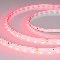 Светодиодная лента RT-A60-8mm 24V Ruby (4.8 W/m, IP20, 5m), Arlight, 055374 Светодиодная лента RT-A60-8mm 24V Ruby (4.8 W/m, IP20, 5m), Arlight, 055374