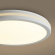 Потолочный светильник Руа / Rua 40 Вт LED, Freya, FR6160CL-L40W Потолочный светильник Руа / Rua 40 Вт LED, Freya, FR6160CL-L40W