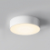 Потолочный светильник Зон / Zon IP 4000 30Вт IP 65, O431CL-L30W4K, изображение 1 Потолочный светильник Зон / Zon IP 4000 30Вт IP 65, O431CL-L30W4K, изображение 1