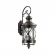 Уличный настенный светильник IP44 E14 3*60W 220V SATION NATURE ODL18 701 ODEON LIGHT 4045/3W, изображение 1 Уличный настенный светильник IP44 E14 3*60W 220V SATION NATURE ODL18 701 ODEON LIGHT 4045/3W, изображение 1