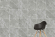 Керамогранит Vitra SilkMarble Бреча Серый Матовый R9 60x60, K947791R Керамогранит Vitra SilkMarble Бреча Серый Матовый R9 60x60, K947791R